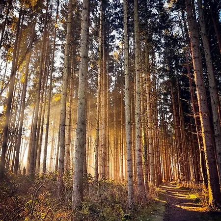 Sommerwind * Börgerende-Rethwisch
