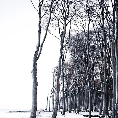 Sommerwind Apartament Börgerende-Rethwisch