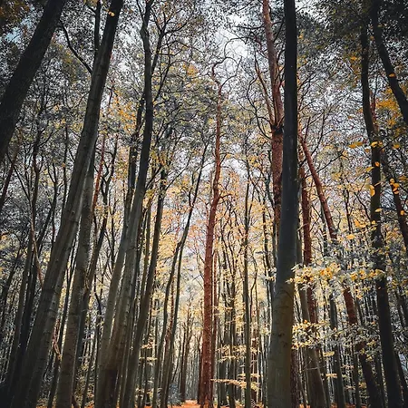 Apartament Sommerwind Börgerende-Rethwisch