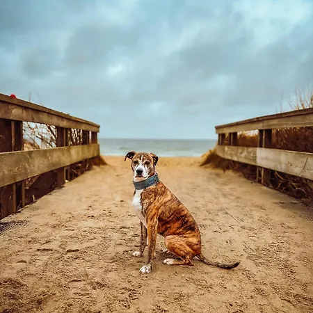 Sommerwind Apartament *