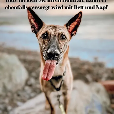 Sommerwind Apartament *