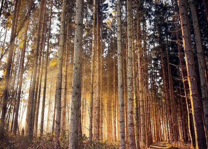 Sommerwind * Börgerende-Rethwisch