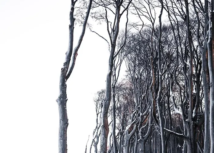 Sommerwind Apartamento Börgerende-Rethwisch