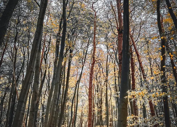 Apartamento Sommerwind Börgerende-Rethwisch