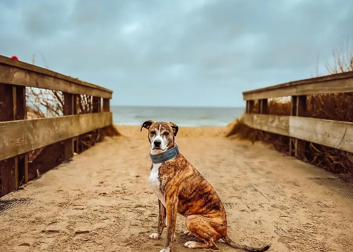 Sommerwind Apartamento *